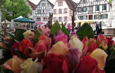 Rosenmarkt: Ottweiler